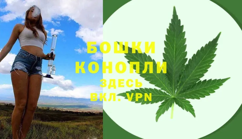 купить закладку  Заречный  МАРИХУАНА THC 21% 